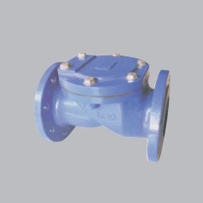 Flanged-Rubber-Sheet-Check-Valve-amd1